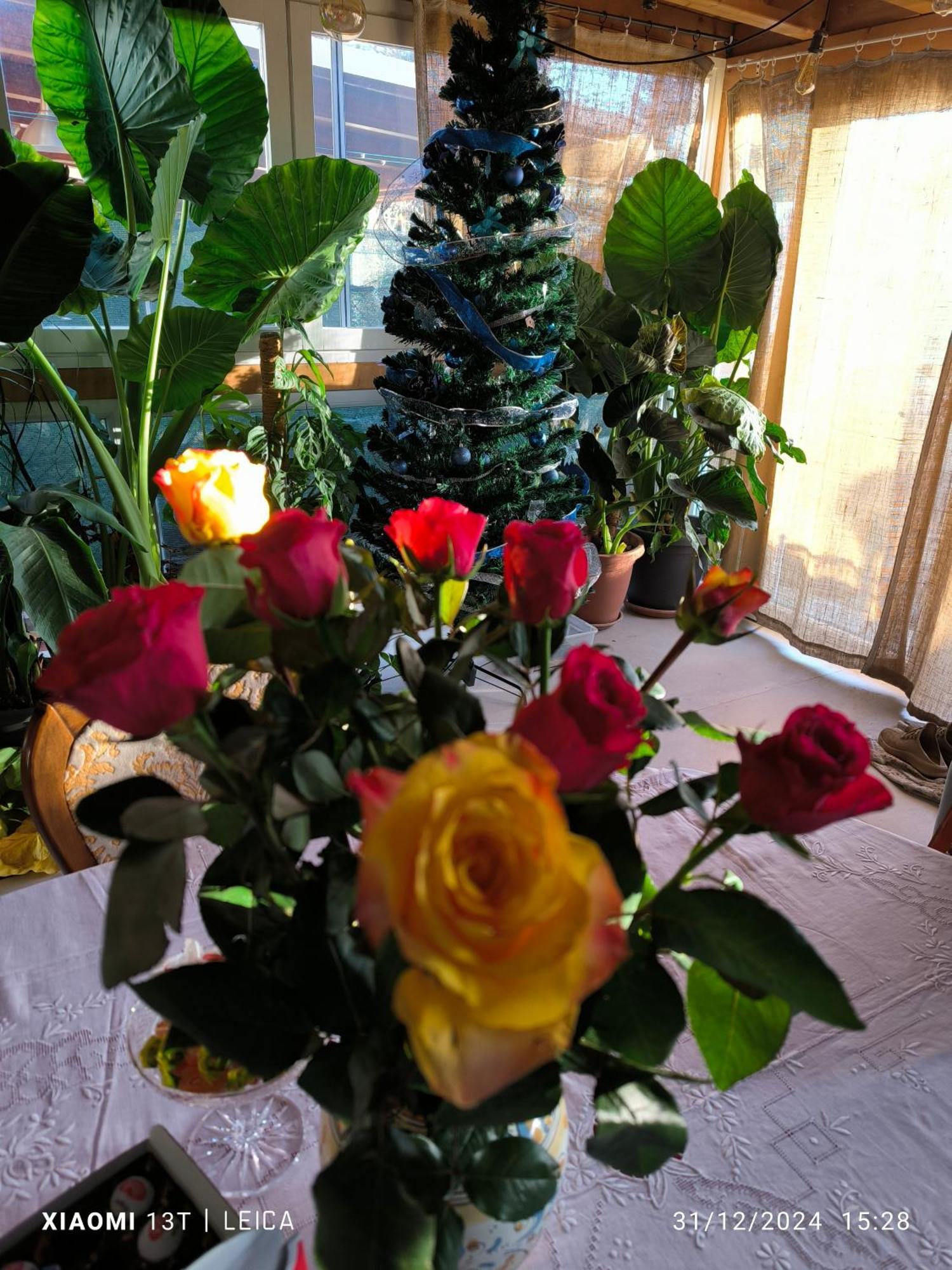 Le Piante Di Casa Samar Bed & Breakfast Castelguelfo Exterior photo